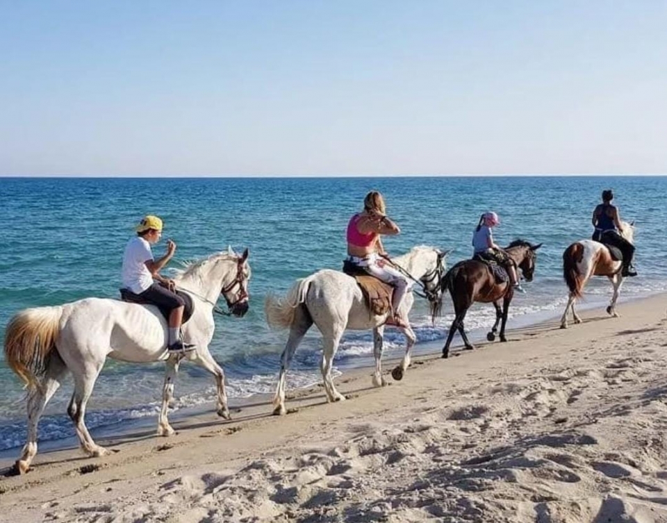 Balade à cheval sur la plage