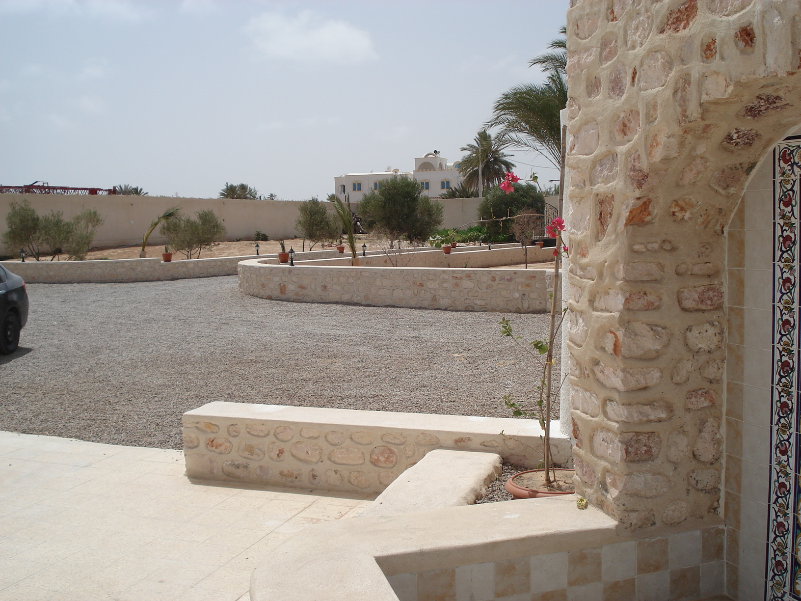 Jardin d'oliviers